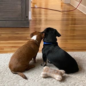 Meet your Posher, Carla